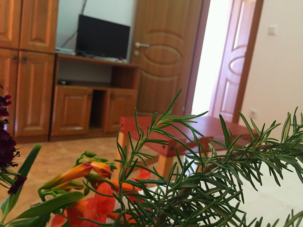 Apartament Friendly House Ulcinj Zewnętrze zdjęcie